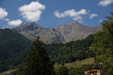 montagne cime bosco verde alpi 