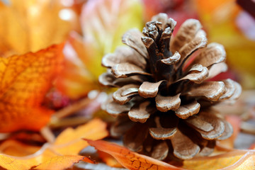 Tannenzapfen und buntes Laub als Deko und Dekoration zu Herbst und Herbststimmung