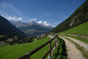 prateria montagna verde natura monti panorama estate