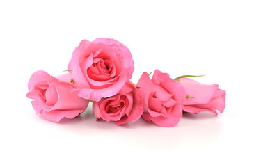 bouquet of pink roses isolated on white background