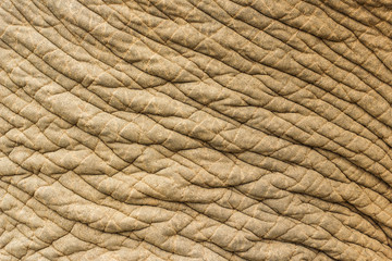 Elephant skin texture background