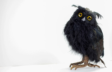 black halloween owl