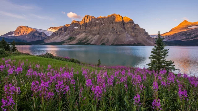 Les Rocheuses Canadiennes en Alberta - Adobe Stock