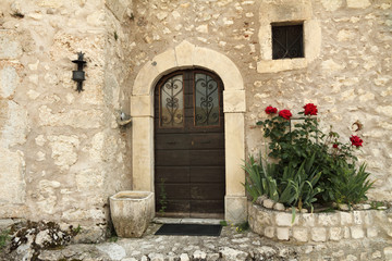 Fototapeta na wymiar old beautiful door and roses bed