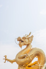 Fototapeta premium Golden dragon statue at Phuket , Thailand