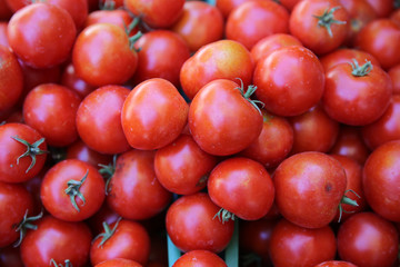 Frische Tomaten