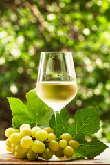 Coid white wine and green grapes on natural blurred background w
