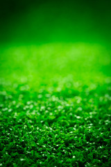 Fototapeta premium green grass for vertical background