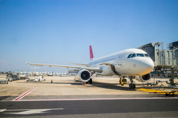 Fototapeta na wymiar plane at the airport during loading passengers