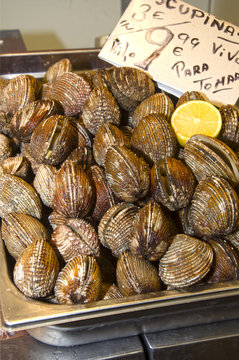 Puesto de almejas en el mercado de Cádiz. España