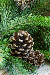 Fir cones and branches, Christmas and New Year's background, sel