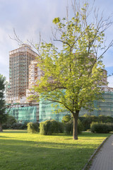 Собор в лесах