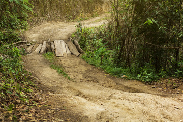 Dirt trail road in jungle