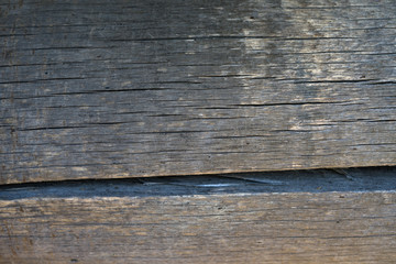 Текстура дерева © maksymbondarenko