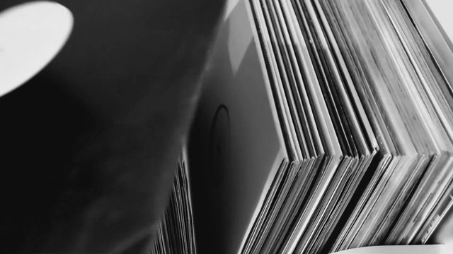 Selecting music to listen browsing through vinyl records collection. Black and white.