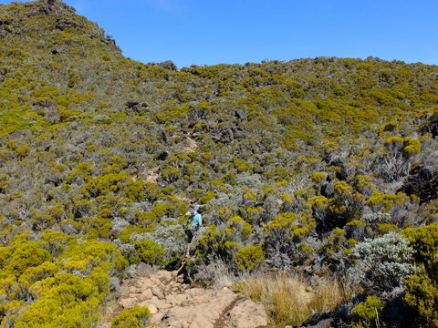 rando Cilaos - Piton des Neiges ( &icirc;le de La r&eacute;union)
