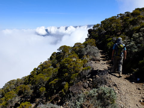 rando Cilaos - Piton des Neiges ( &icirc;le de La r&eacute;union)