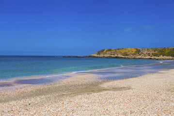 Seashell-covered beach and distant horizon
