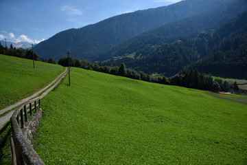 Fototapeta na wymiar prateria montagna verde natura monti panorama estate