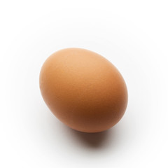 Single brown egg