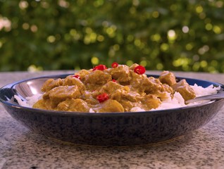 Hot chili indian lamb curry in the deep plate or shallow bowl with rice on the stone table with nice green background in the garden. 