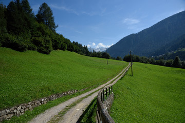 prateria montagna verde natura monti panorama estate