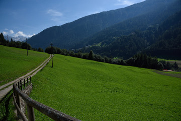 prateria montagna verde natura monti panorama estate