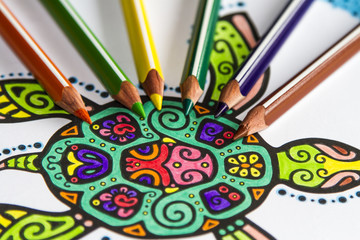 lápices de colores sobre dibujo de tortuga, mandala 