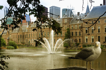 The Hague is the seat of government in the Netherlands