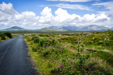 The lonely road to nowhere