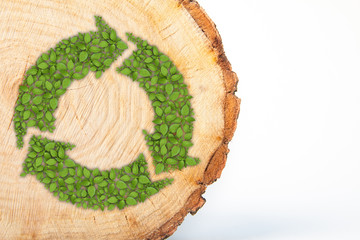 Cross section of tree trunk with recycle symbol, on white