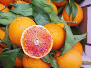 blood orange leaf