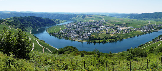 Piesport on the river Mosel in Germany