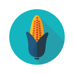 Corn flat icon with long shadow