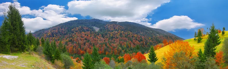 Papier Peint photo Lavable Automne automne ensoleillé lumineux dans les montagnes