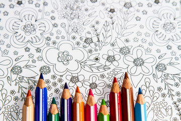 Fototapeta premium lápices de colores sobre dibujo de flores sin color