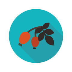 Rosehip branch with red berries flat icon