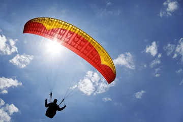 Tuinposter paraglider © Friedberg