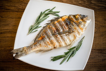 Grilled dorada