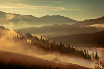 Morning mist in mountain woodland.