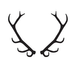 Fototapeta premium black silhouette of antlers