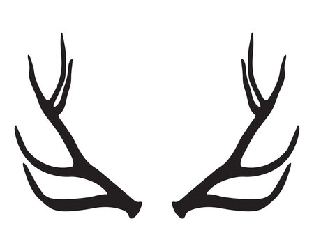 black silhouette of antlers