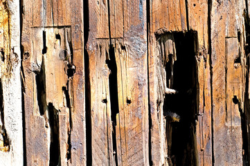 Wooden Texture