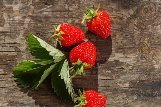 Walderdbeeren Bilder – Durchsuchen 220,794 Archivfotos, Vektorgrafiken ... Walderdbeeren Bilder – Durchsuchen 220,794 Archivfotos, Vektorgrafiken ...