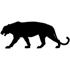 Vector black panther is walking and roaring