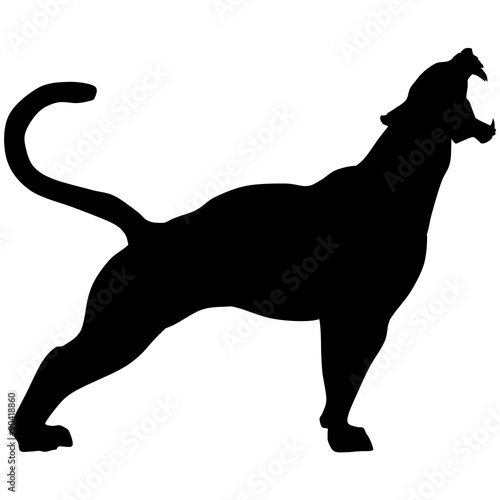 vector black panther roars loudly stock image and royalty free