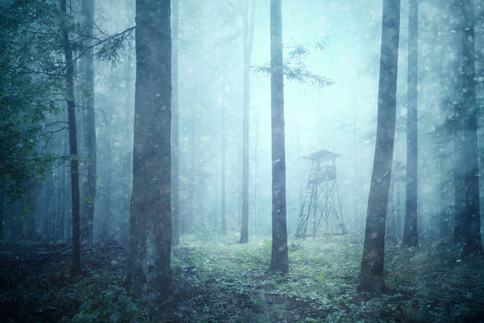 Fototapeta Rainy and snowy day in wild forest landscape with hunting tower. Deer and other wildlife hunting tower in magic foggy woodland. 