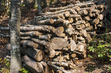A woodpile