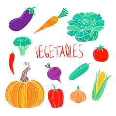 Vector organic food  colorful vegetables set