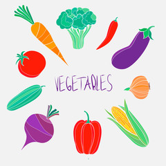 Vector organic food  colorful vegetables set